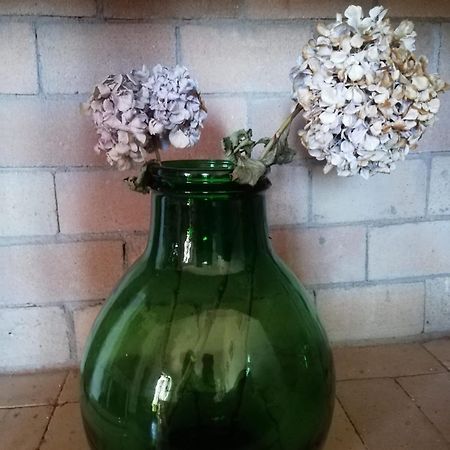 شقة La Cuppulata بودوني المظهر الخارجي الصورة